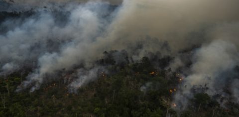 Vista aérea da fumaça subindo de um desmatamento ilegal na Amazônia, em Porto Velho, Rondônia. Em vez de absorver, a floresta está emitindo carbono. Foto Mauro Pimentel/AFP