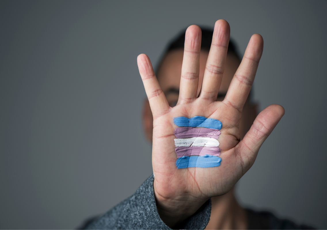 Brasil celebra em 29 de janeiro Dia Nacional da Visibilidade Trans (Foto: Reprodução)