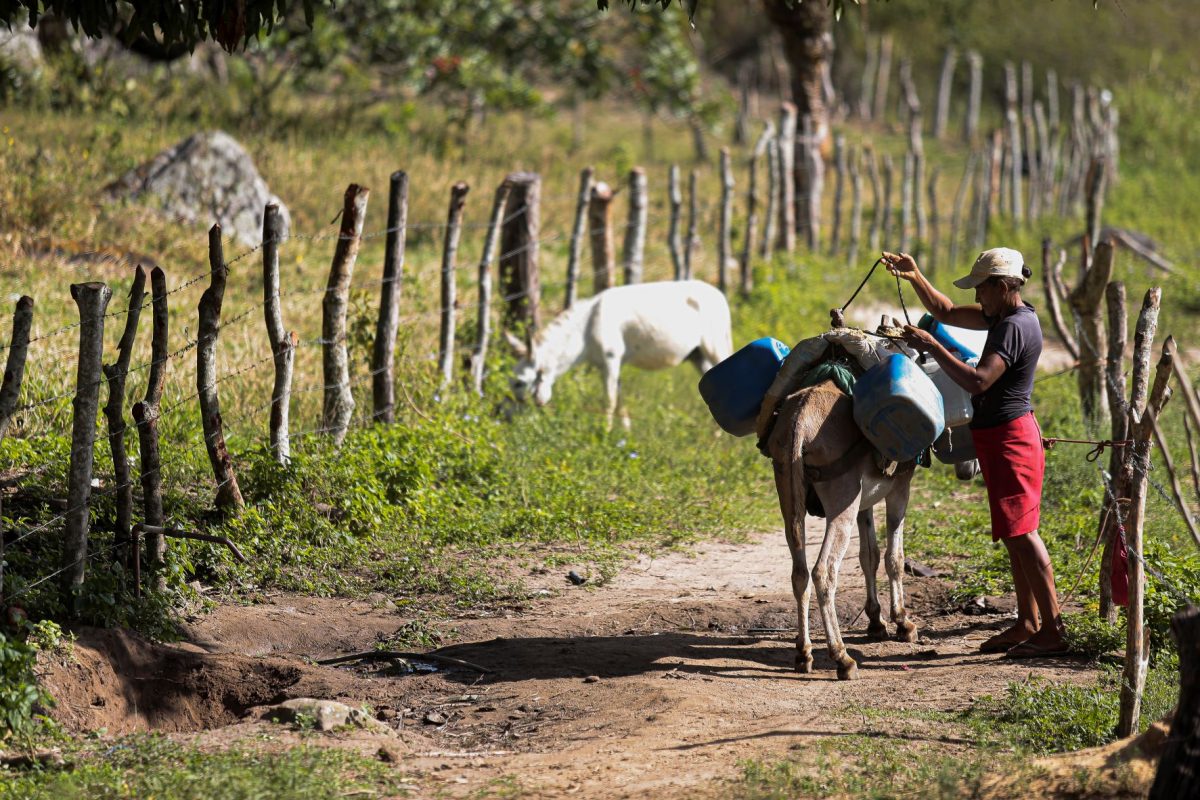 Caminhar quilômetros para pegar água e levar no lombo do jumento para casa: Semiárido espera volta do Programa Cisternas para acabar com esta rotina (Foto: Arnaldo Sete)