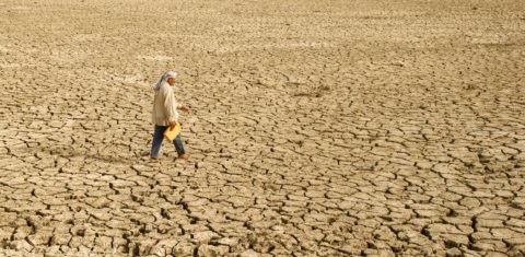 Paisagem seca no Iraque durante onda de calor: agência da ONU prevê recordes de calor para os próximos anos (Kureng Dapel/OMM)