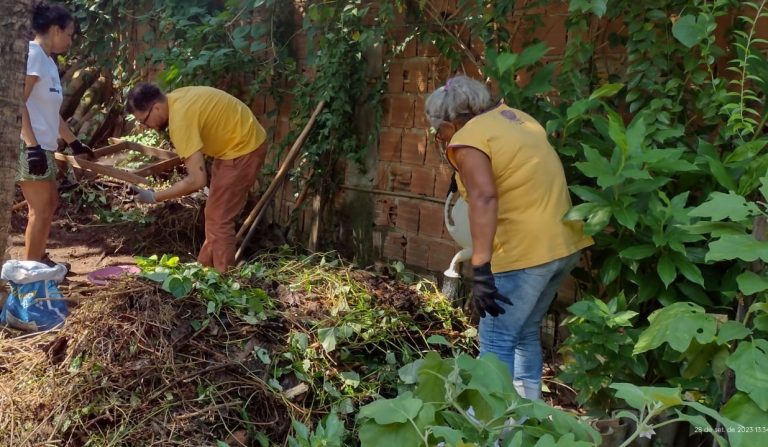 Horta urbana da Sementeira Esperança: alimentos frescos para ajudar a matar a fome na periferia (Foto: Arquivo Pessoal Maria José da Silva)