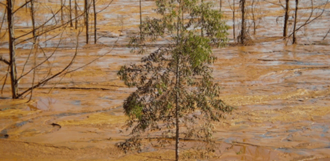 Cenário de devastação após a tragédia de Brumadinho: documentário rejeito denuncia terrorismo de barragem em Minas (Foto: Divulgação)