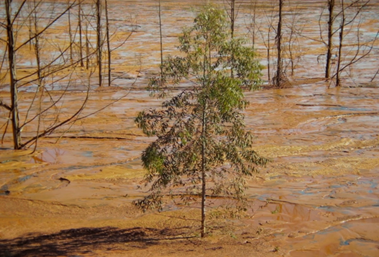 Cenário de devastação após a tragédia de Brumadinho: documentário rejeito denuncia terrorismo de barragem em Minas (Foto: Divulgação)
