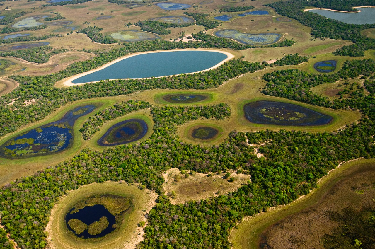 A beleza do Pantanal, menor bioma brasileiro e a maior planície de inundação do mundo, sofre com a alta onda de calor e os incêndios que já atingiram um milhão de hectares em 2023. Foto SOS Pantanal