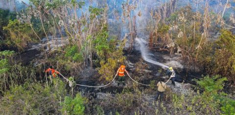 Há mais de três semanas, incêndios afetam o Pantanal Norte e, agora, já chegaram ao Mato Grosso do Sul e à região de Paiaguás. Foto Gustavo Figueiroa/SOSPantanal