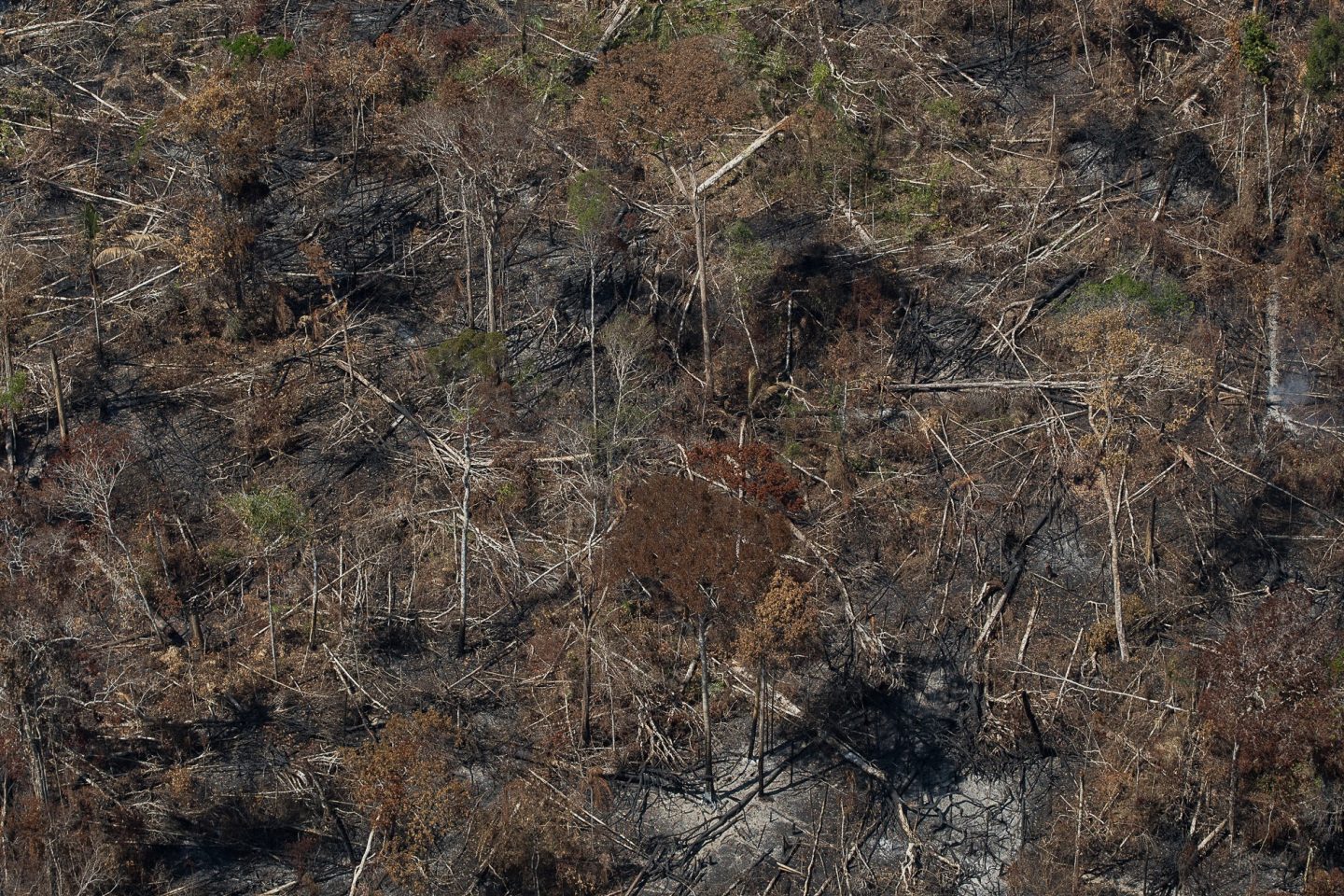 Área devastada próximo à Floresta Nacional do Jacunda ,em Rondonia. no oeste da Amazônia, onde o desmatamento avança descontroladamente: aumento de 122% na emissão de gases com Bolsonaro (Foto: Bruno Kelly / Amazônia Real - 07/08/2020)