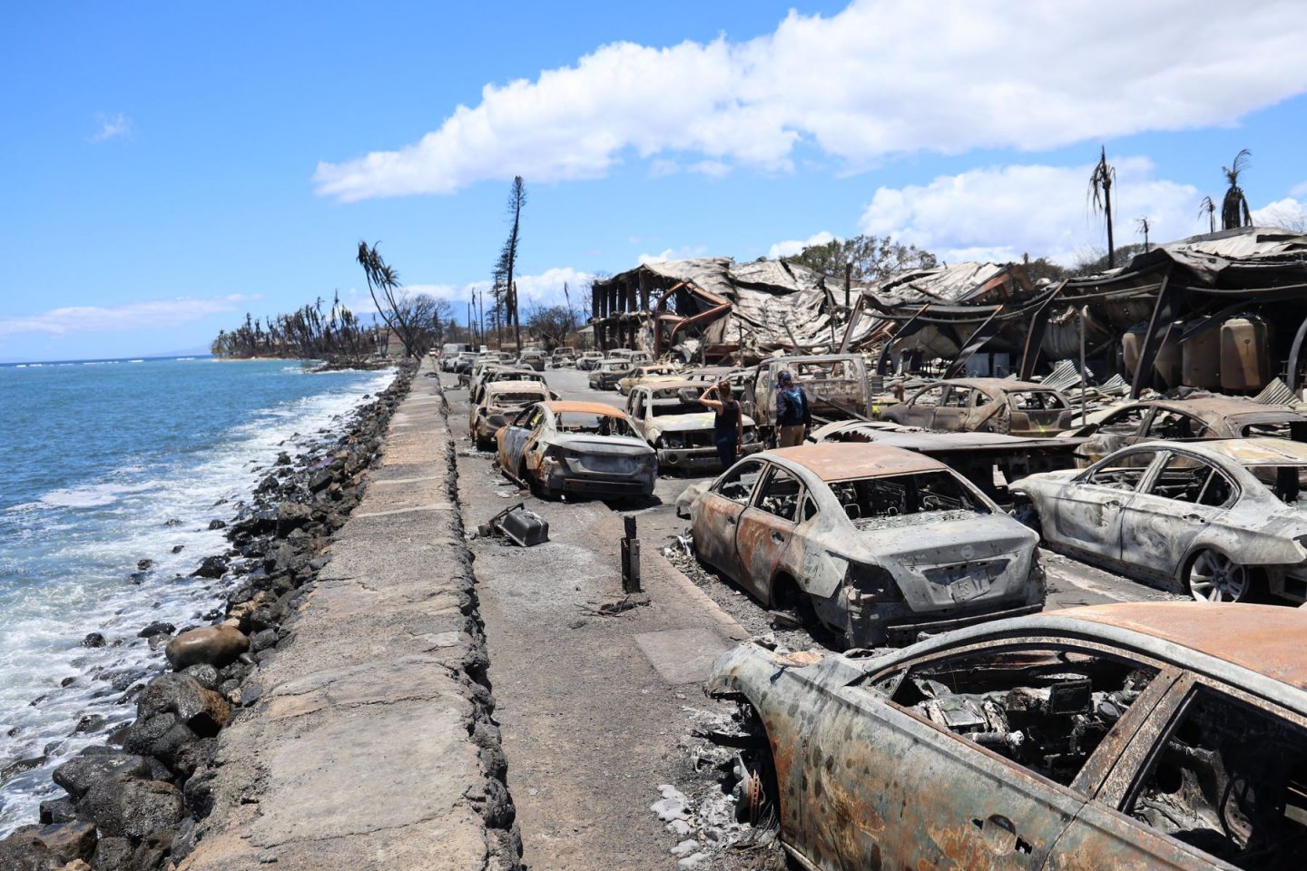 Cenário de guerra na cidade de Lahaina, a mais atingida pela combinação incêndio e furacão no Havaí: mais de 100 mortos (Foto: Governo do Havaí)