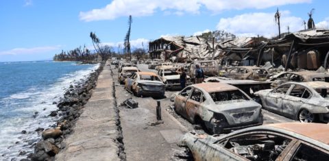 Cenário de guerra na cidade de Lahaina, a mais atingida pela combinação incêndio e furacão no Havaí: mais de 100 mortos (Foto: Governo do Havaí)