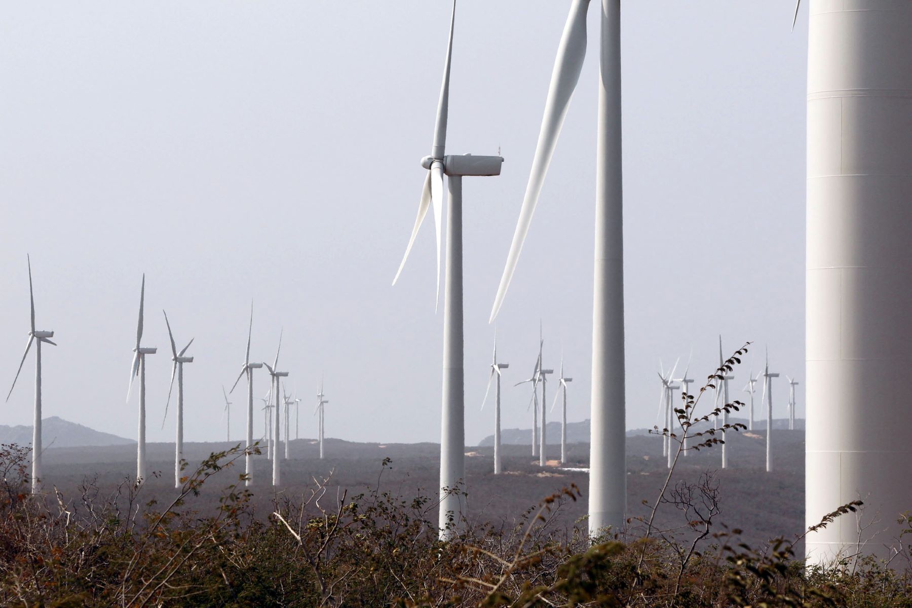 Torres com aerogeradores de energia na Caatinga: quatro complexos eólicos em funcionamento apenas na Área de Proteção Ambiental (do Boqueirão da Onça (Foto: Manu Dias / Governo da Bahia)
