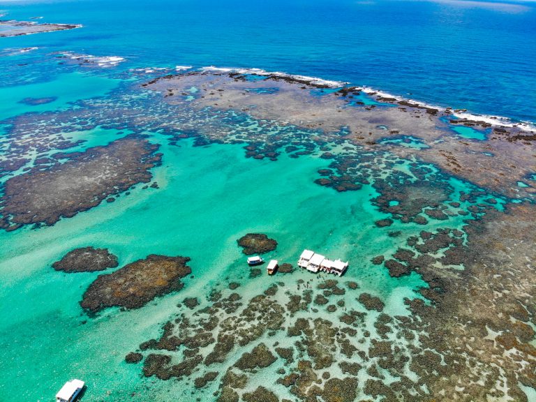 Recifes no litoral de Alagoas na Área de Proteção Ambiental da Costa dos Corais: pesquisa revelou contaminação de rios (Foto: Rafael Munhoz / ICMBio)