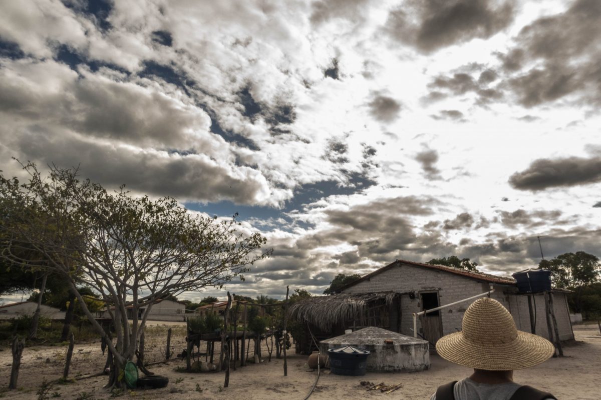 Comunidades Brejeiras e de Fundo de Pasto do semiárido baiana ganham visibilidade e então entre os favoritos para receber prêmio da Embrapa. Foto Thiago Ripper