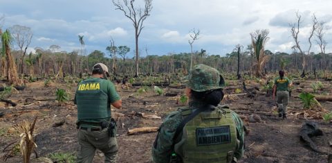Operação do Ibama contra o desmatamento no Amazonas: redução de 50% em 2023 (Foto: Ibama/Divulgação - 11/12/2023)
