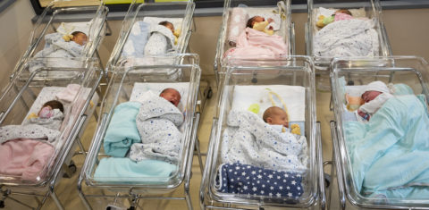 Bebês recém-nascidos na maternidade do hospital Vita, em Sófia, capital da Bulgária. Número de nascimentos no mundo deve cair de 134 milhões, em 2023, para 111 milhões em 2100. Foto Nikolay Doychinov/AFP