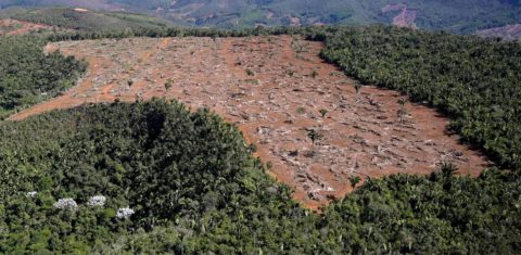 Área desmatada na Mata Atlântica: projeto aprovado na Câmara deixa biomas desprotegidos e ameaça vegetação nativa (Foto: SOS Mata Atlântica)