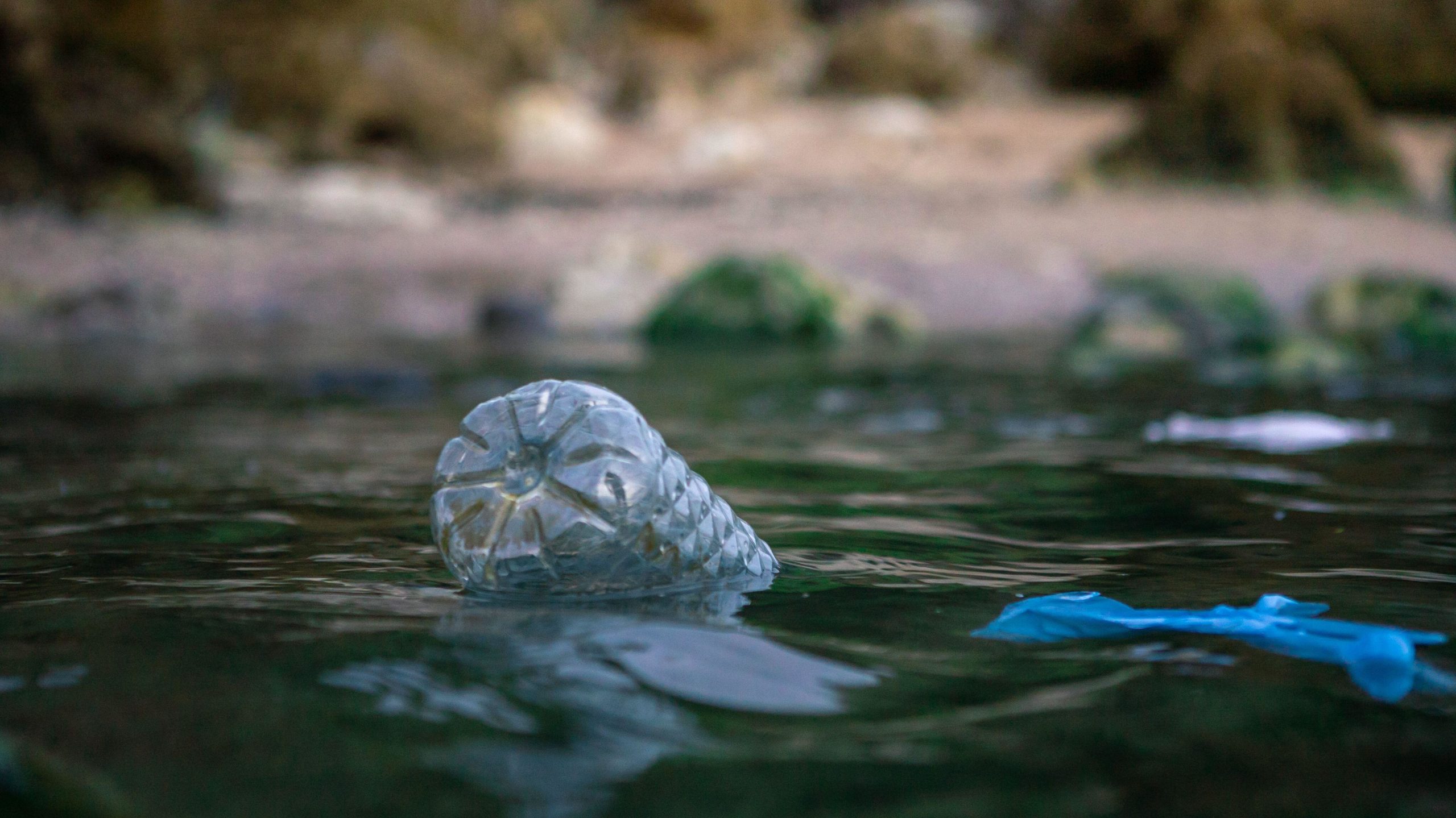 Plástico flutuante pode levar patógenos aonde esses micro-organismos não alcançariam normalmente. Foto Alamy
