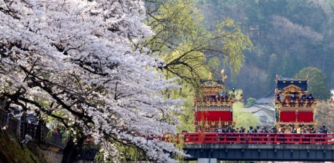 Carros alegóricos cruzam uma ponte laqueada de vermelho perto de cerejeiras em plena floração no segundo dia do Festival da Primavera de Takayama na província de Gifu. O Japão caminha para ser uma referência mundial em qualidade de vida e preservação ambiental. Foto Yasushi Kanno/The Yomiuri Shimbun via AFP