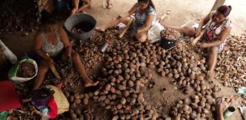 Quebradeiras trabalham na comunidade de Sumaúma: mulheres de origem quilombola, afrodescendente e indígena lutam para preservar a tradição, que garante a sobrevivência de seus corpos e de uma cultura ancestral. Fotos de Gabriele Roza