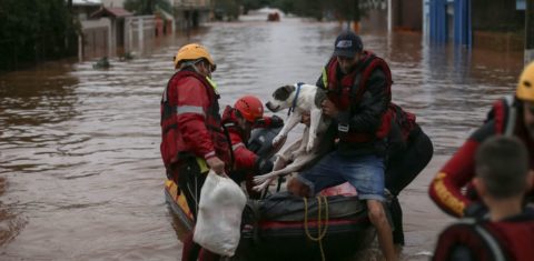 Voluntários resgatam cachorro e moradores de São Sebastião do Caí: mais de sete mil animais domésticos resgatados da enchente no Rio Grande do Sul (Foto: Anselmo Cunha / AFP - 02/05/2024)