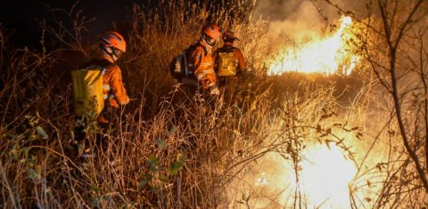 Bombeiros combatem incêndio no Pantanal: bioma mais seco e recorde de queimadas (Foto: Bruno Rezende / SecomMS)