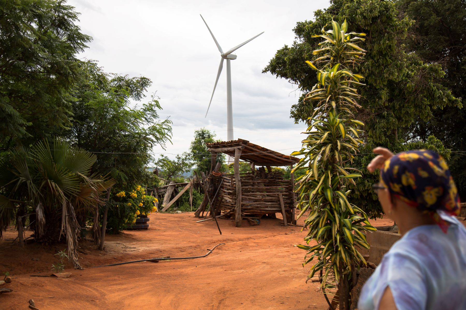 Eólicas e mineração: famílias removidas para construção da barragem de Sobradinho enfrentam novas ameaças