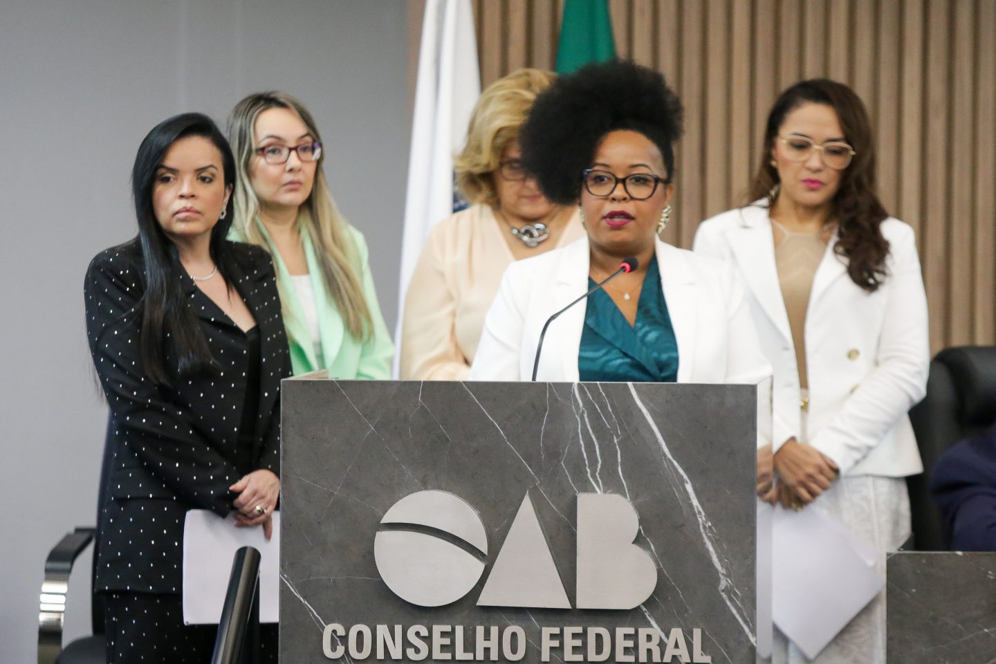 A conselheira Silvia Souza, à frente da comissão que analisou o PL do estupro na reunião do Pleno da OAB: projeto ilegal e inconstitucional (Foto: Raul Spinassé / OAB)
