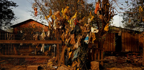 Lixo espalhado no bairro Ilhas, em Eldorado do Sul, Região Metropolitana de Porto Alegre. Foto: Mirian Fichtner