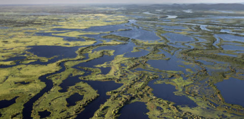 Vista aérea do Pantanal Mato grossense. A região enfrenta a maior crise hídrica da sua história. Foto WWF-Brasil