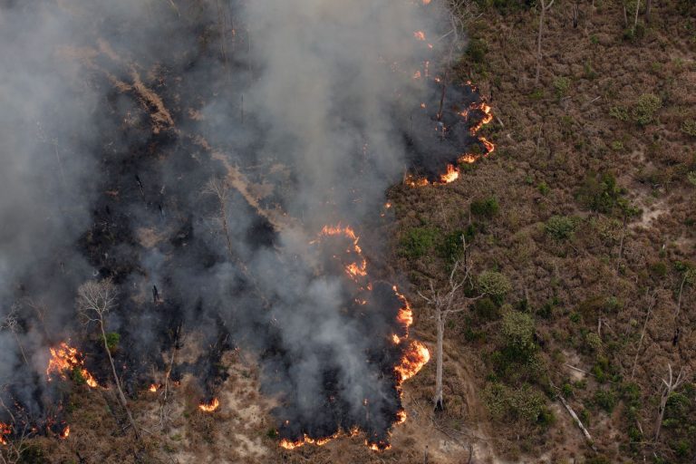 Queimada entre o sudoeste do Amazonas e o norte de Rondônia: Amazônia teve 11.434 focos de calor em julho de 2024, aumento de 98% em relação ao mesmo mês no ano passado (Foto: Marizilda Cruppe / Greenpeace)