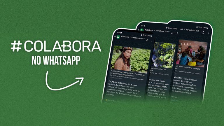 Colabora no Whatsapp
