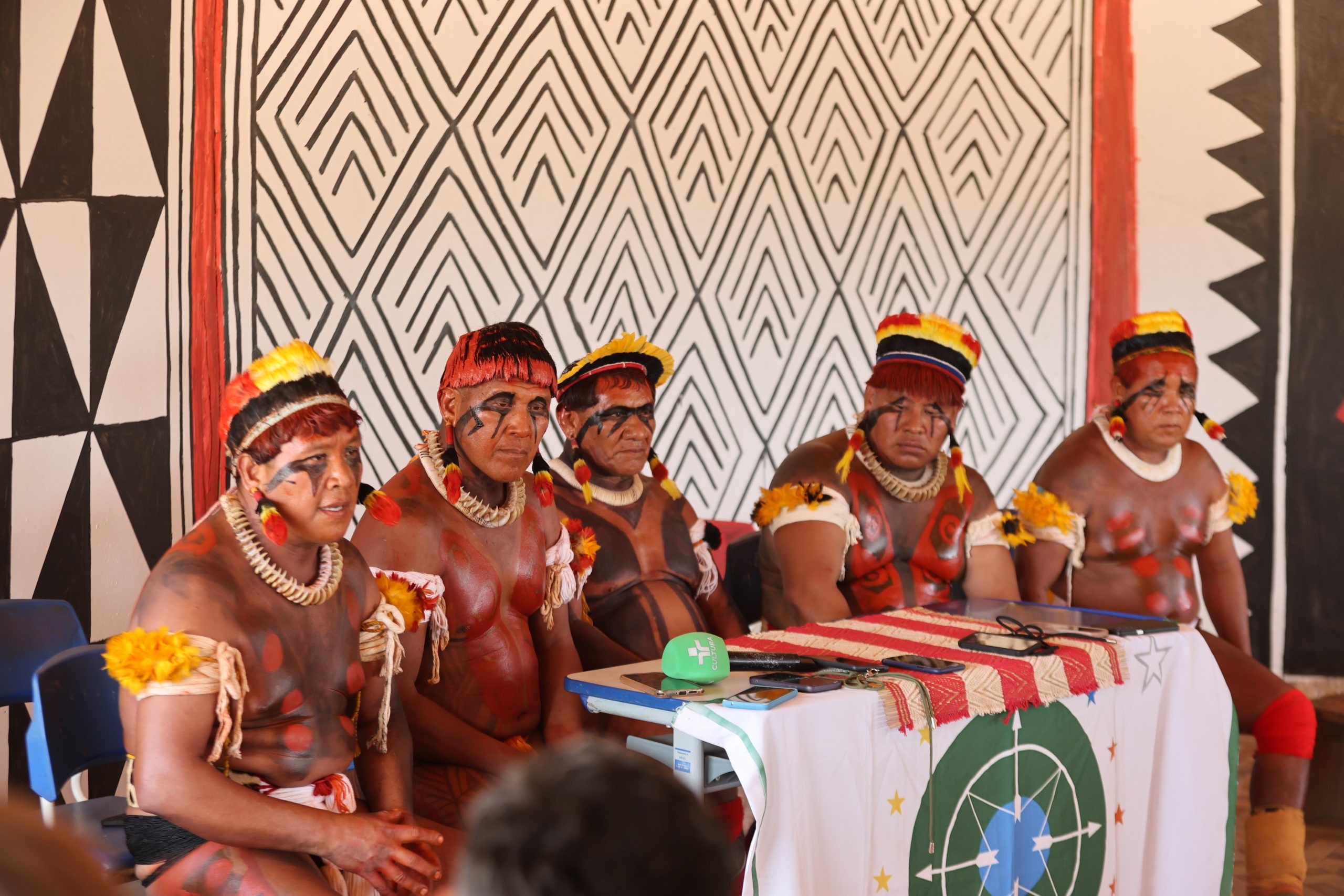 Xingu sob pressão de desmatadores e madeireiros