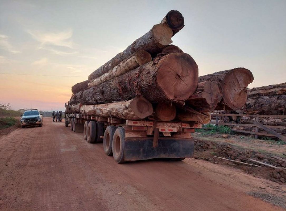 Apreensão de madeira ilegal em Rondônia: área de futuro polo agrícola concentrou 76% do desmatamento em três estados da Amazônia (Foto: Ibama / Amazônia Real)