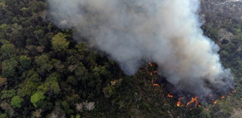 Foto colorida com vista aérea de floresta em chamas no Sul do Amazonas: temporada de queimadas, seca extrema e fumaça (Foto: Marizilda Cruppe / Greenpeace - 01/08/2024)