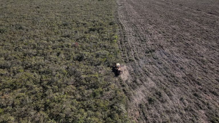 Supressão de vegetação nativa do Cerrado no oeste da Bahia: investigação da ONG Earthsight aponta que produtos à base de frango vendidos por supermercados europeus estão ligados a desmatamento ilegal, e grilagem de terras no Cerrado brasileiro (Foto: Thomas Bauer / Earthsight)