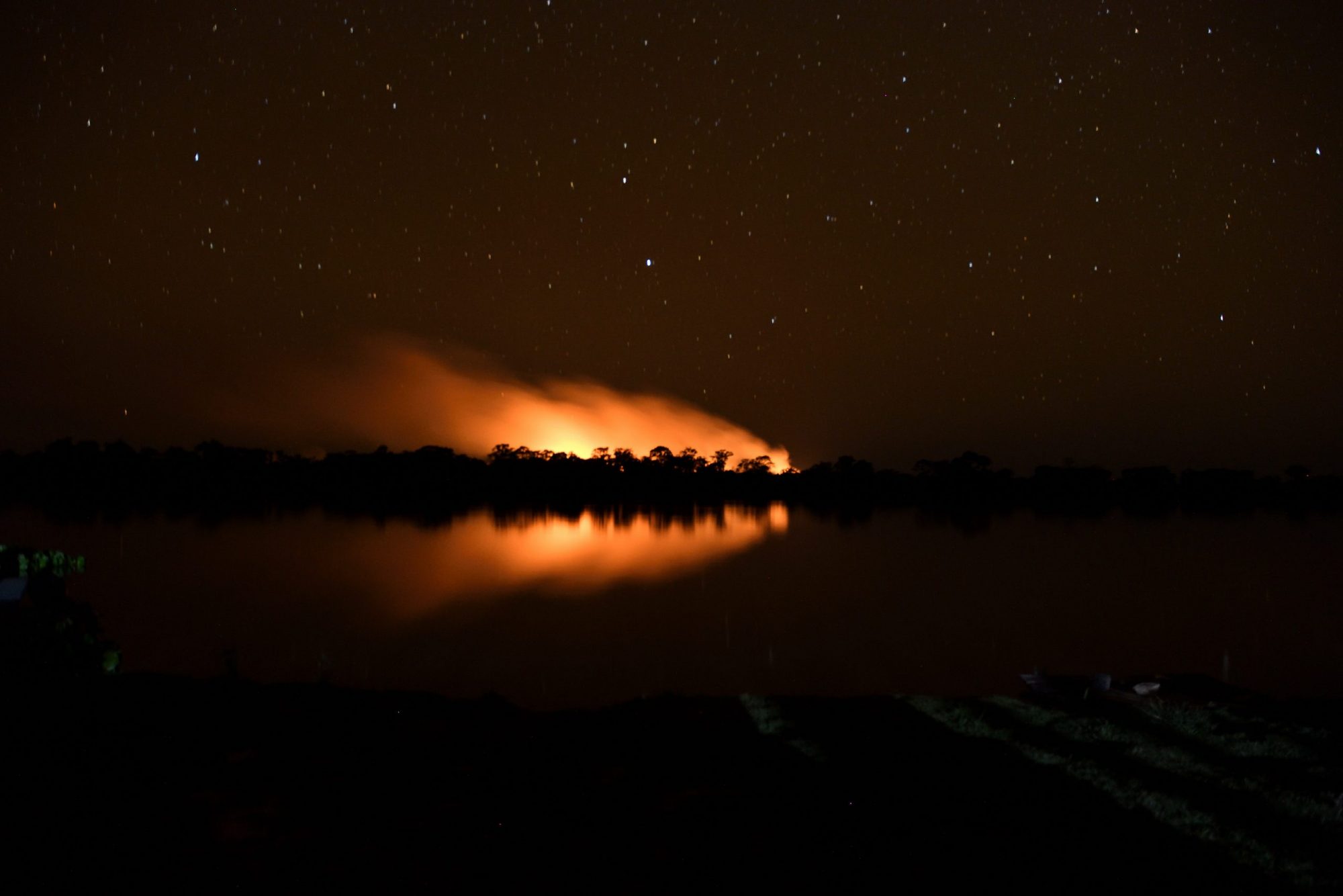 Frear o desmatamento na região do Pantanal é uma das ações fundamentais para evitar a crise hídrica. Foto André Zumak/WWF Brasil