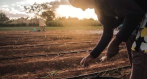Por que estamos atrasados na discussão sobre trabalho e justiça climática?
