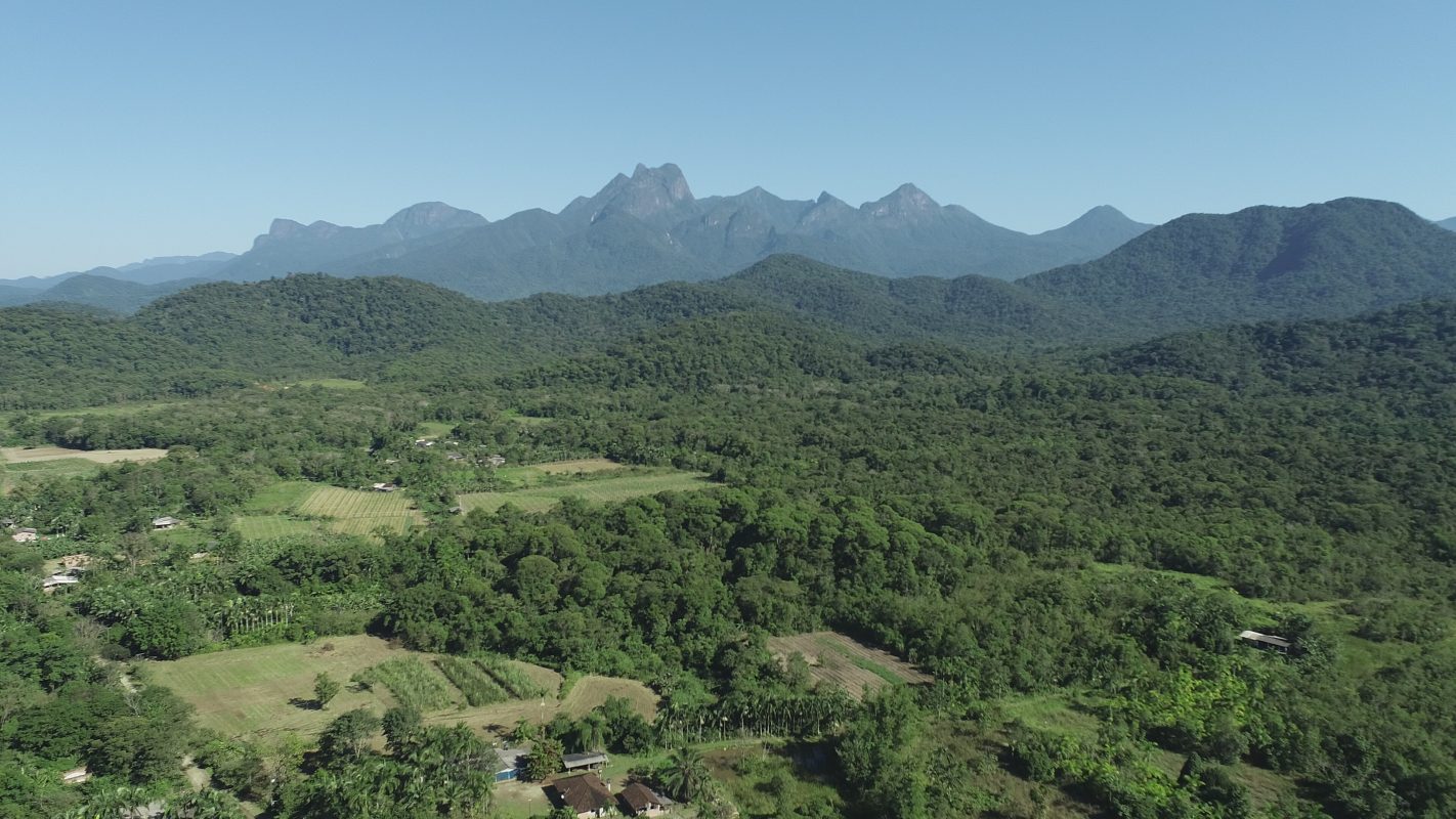 Paraíso verde: a agrofloresta da comunidade José Lutzenberg vista de cima (Foto: divulgação / Plantear)