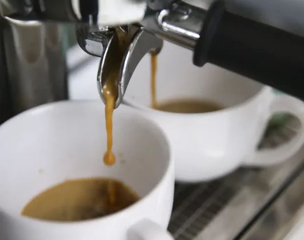 Café insustentável: mudanças climáticas impactam a produção e os preços do grão