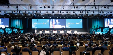 Plenária de abertura da COP29 em Baku: organizações, ambientalistas e cientistas cobram medidas para contar lobistas que agem contra políticas climáticas na COP30 (Foto: Kamran Guliyev / COP29 - 11/11/2024)