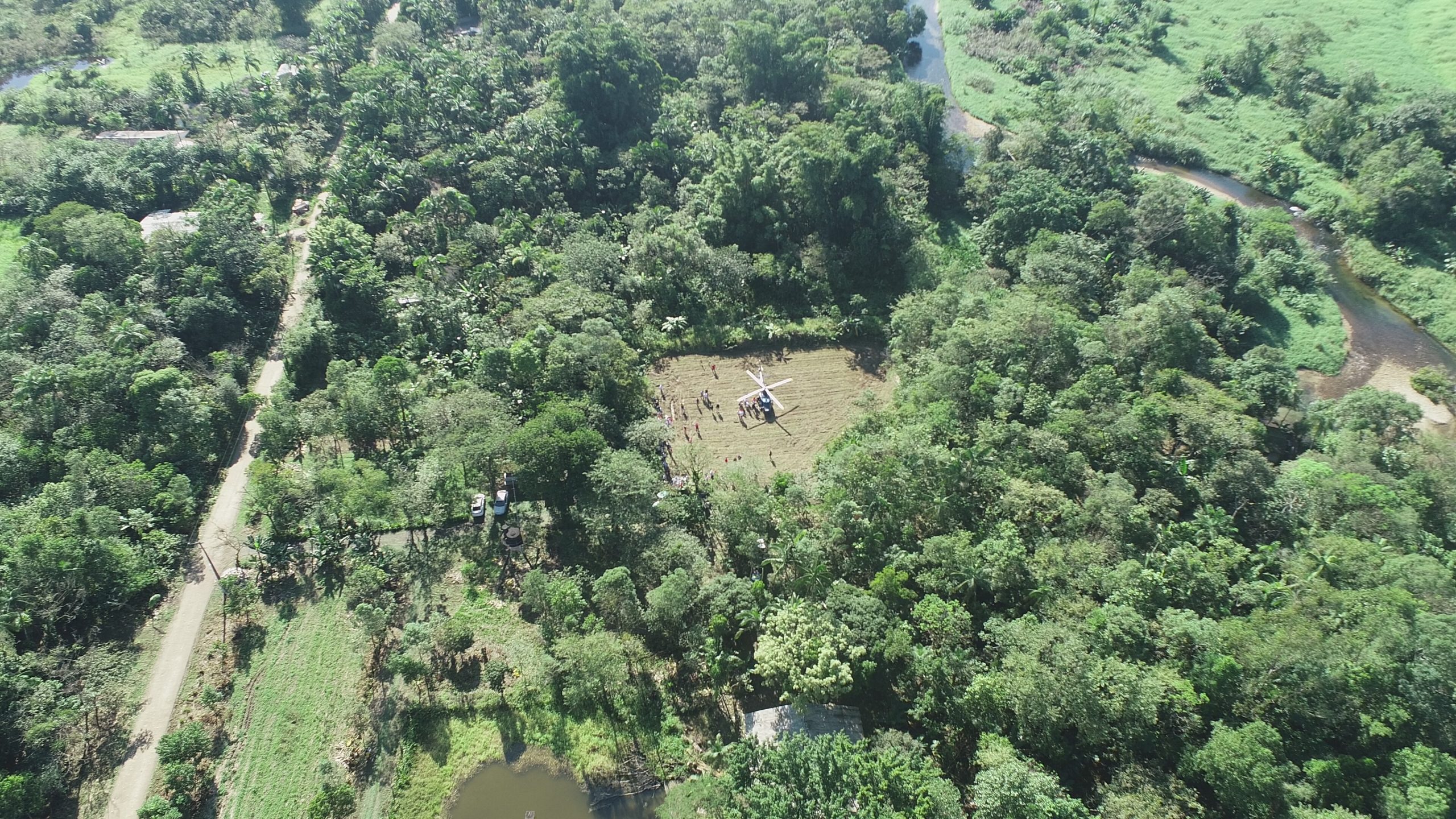 Comunidade do MST investe em agrofloresta e cria ‘paraíso verde’ no Paraná
