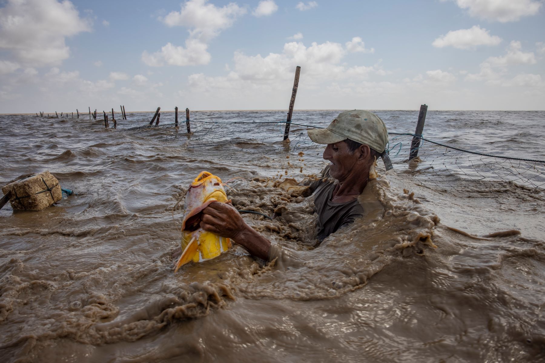 Pescador na área de manguezal da comunidade de Sucuriju, na costa do Amapá (Foto: Victor Moriyama / InfoAmazonia)