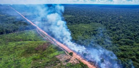 Desmatamento no entorno da BR-319: Justiça Federal retoma suspensão de licença para obras (Foto: Orlando K. Junior / Fundação Amazônia Sustentável)