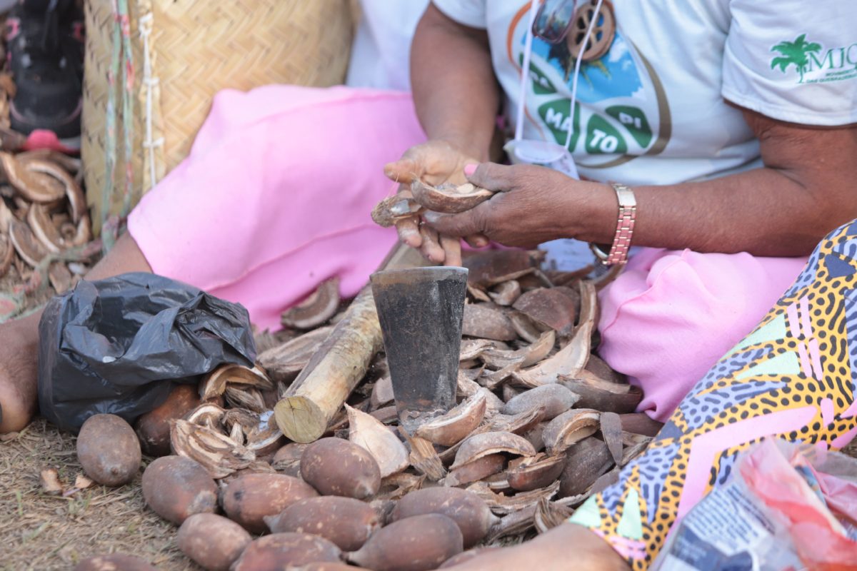 Foto colorida de close nas mãos de uma quebradeira de coco babaçu trabalhando. A mulher aparece no canto direito da imagem e diante dela diversos cocos