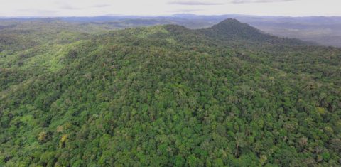 Área da Floresta Amazônica preservada: bioma Amazônia teve o terceiro menor desmatamento da história (Foto: MMA)