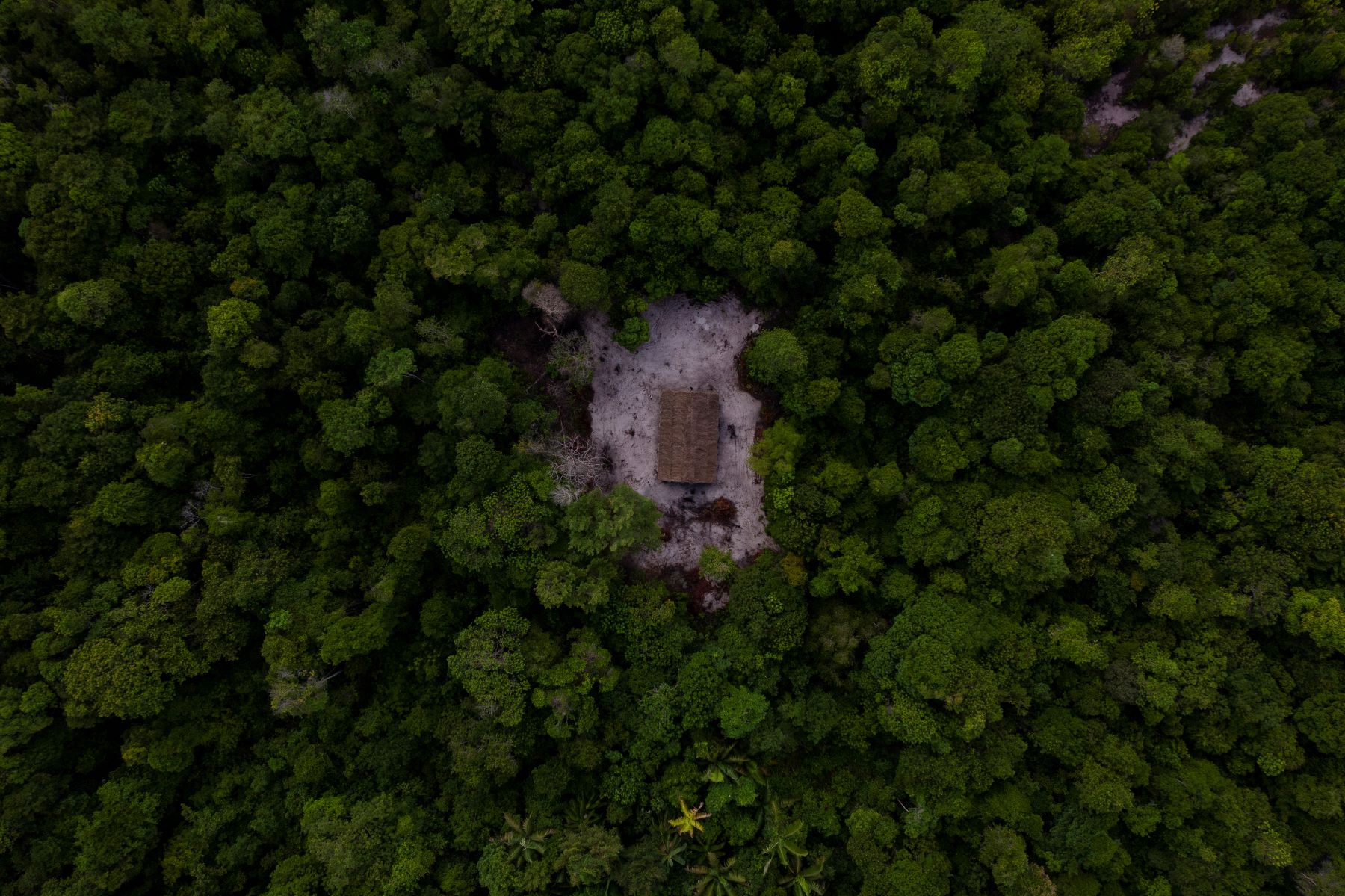 Território indígena Mainstay/Whyaka, na floresta amazônica da Guiana: carbono das florestas para compensar as emissões da indústria petrolífera na Guiana (Foto: Victor Moriyama / InfoAmazonia)