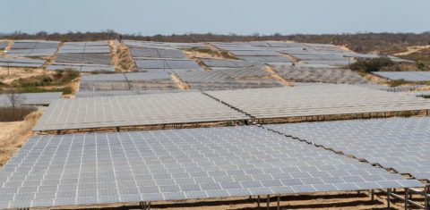 Usina Fotovoltaica Coremas III, em área de Caatinga na Paraíba: bioma concentra 62% da área de usinas de energia solar mas sofre com desmatamento (Foto: Alan Santos / PR / Agência Brasil - 17/09/2020)