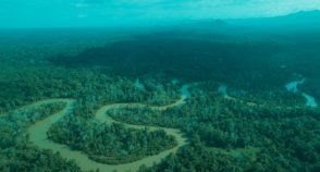 Fundo para florestas é aposta do Brasil para a COP30