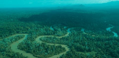 Área de Floresta Amazônica em Roraima: Fundo para florestas é aposta do Brasil para a COP30 (Foto: MMA - 06/03/2023)