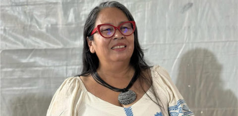 A cientista e líder indígena Sineia do Vale em debate: Indígenas, quilombolas e comunidades e povos tradicionais fazem pressão para que a demarcação de suas terras venha a ser reconhecida globalmente (Foto: Reprodução / Redes Sociais)