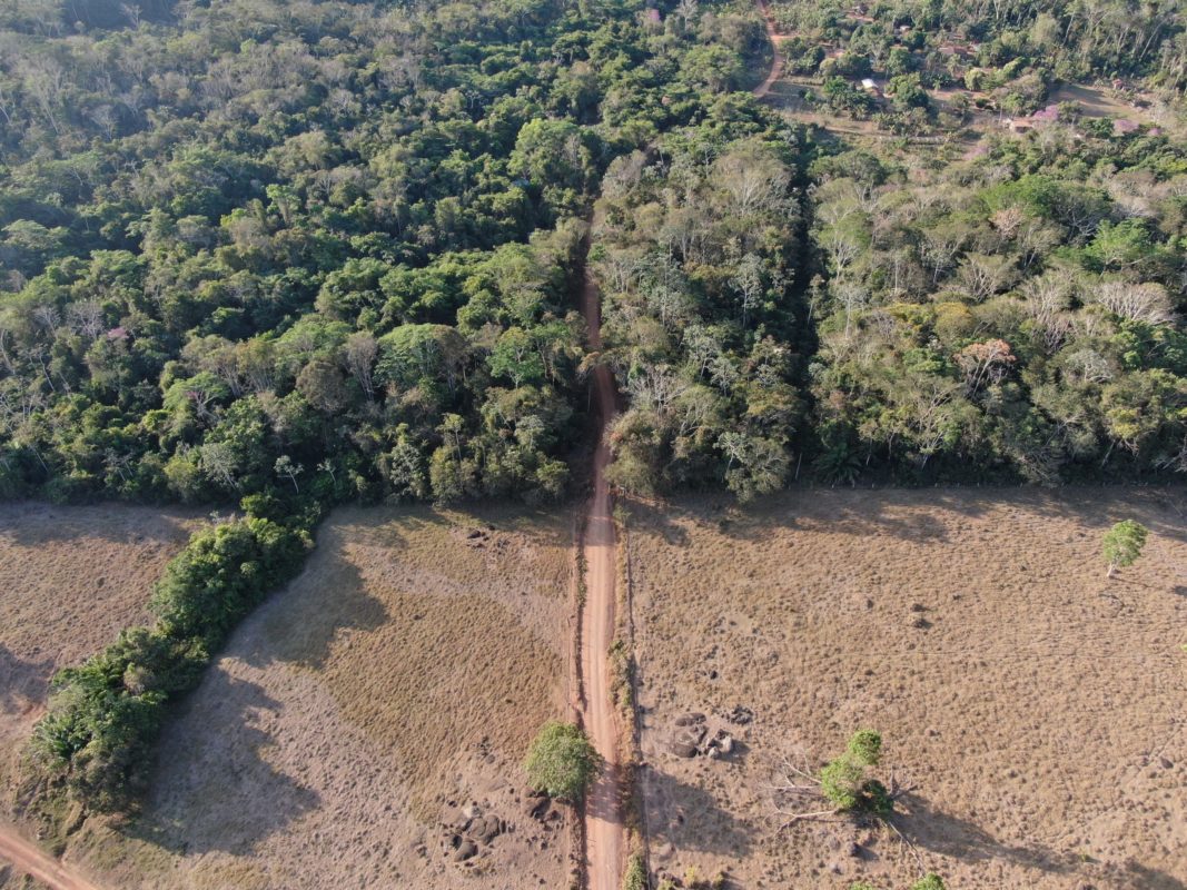 Foto colorida que mostra área desmatada perto de área de floresta na Amazônia