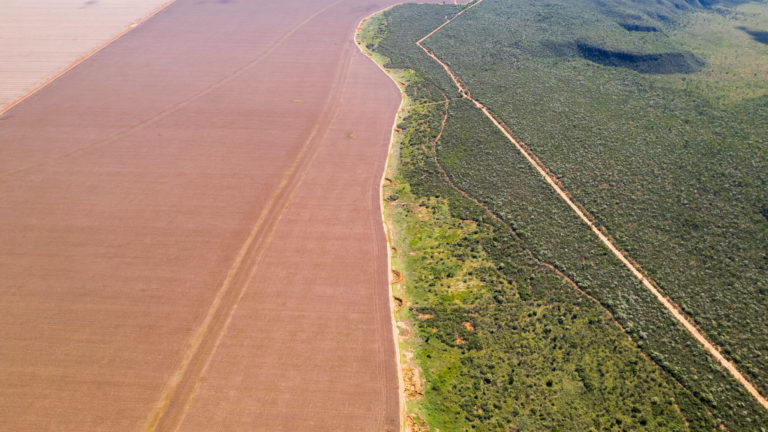 Foto colorida que mostra no lado esquerdo, campo de soja, dividido por uma estrada e, do lado direito, floresta e vegetação natural do Cerrado